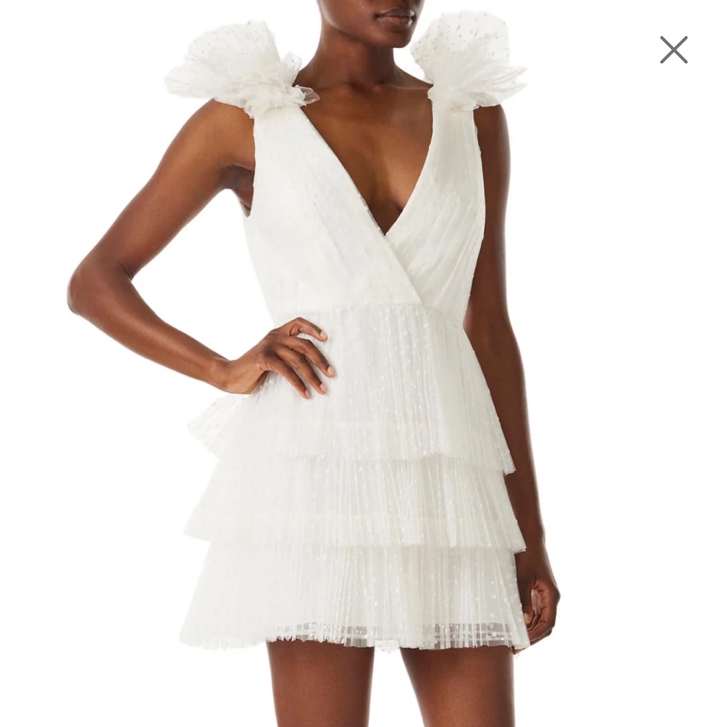 Monique Lhuillier Dotted Tulle Party Dress - Size 6